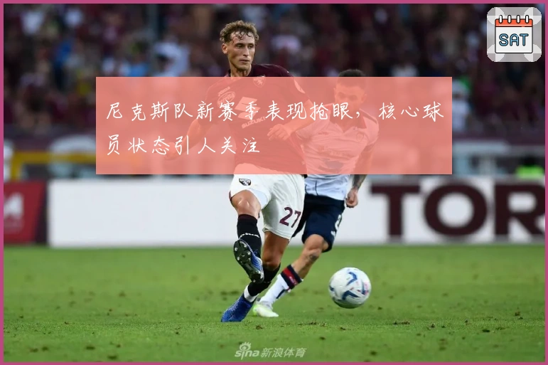 尼克斯队新赛季表现抢眼，核心球员状态引人关注