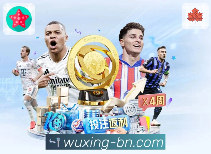 安全使用指引流程